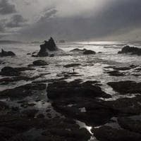 Gıda Ürünleri Firması 6