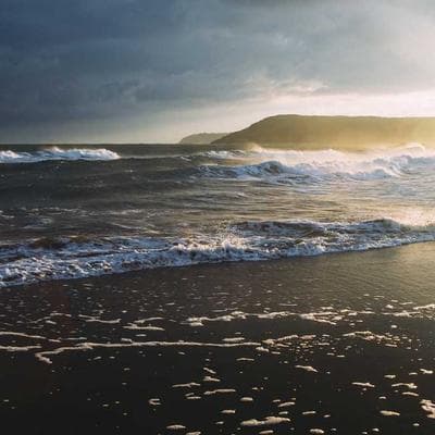 Özel Üretim Gıda Ürünleri Ürünü 1