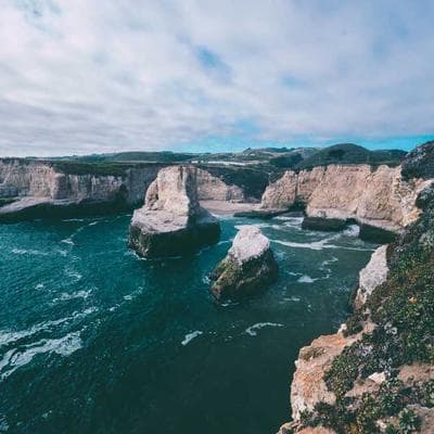 Organik Gıda Ürünleri Ürünü 14