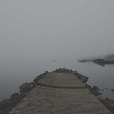 Doğal Gıda Ürünleri Ürünü 9