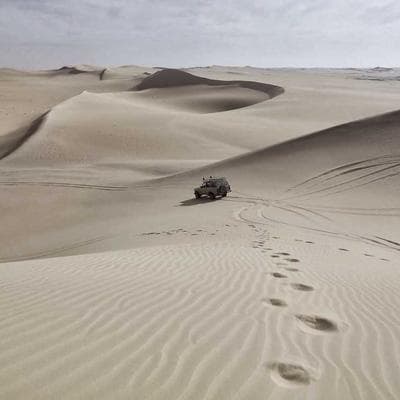 Lüks Gıda Ürünleri Ürünü 11