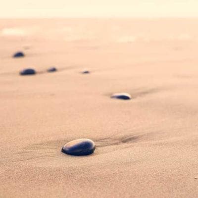 Sertifikalı Gıda Ürünleri Ürünü 7