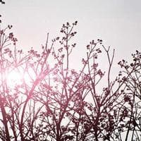 Giyim, Ayakkabı Firması 11