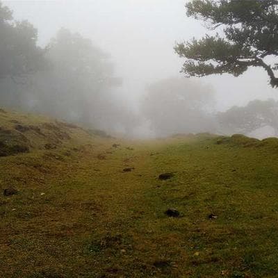 Ekonomik Giyim, Ayakkabı Ürünü 14