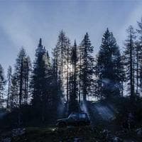 Giyim, Ayakkabı Firması 12