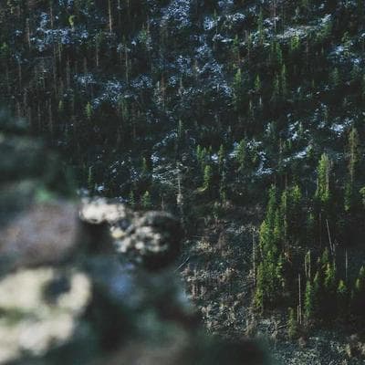 Lüks Giyim, Ayakkabı Ürünü 13