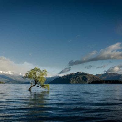 Lüks Giyim, Ayakkabı Ürünü 14