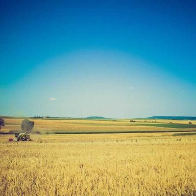 Lüks Giyim, Ayakkabı Ürünü 20