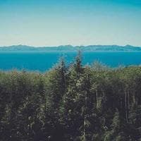 Giyim, Ayakkabı Firması 13