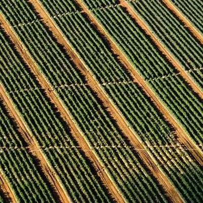 Sertifikalı Giyim, Ayakkabı Ürünü 3