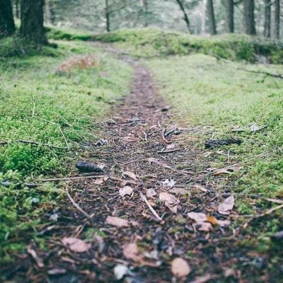 Özel Üretim Giyim, Ayakkabı Ürünü 7