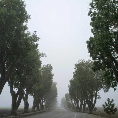 Yeni Sezon Giyim, Ayakkabı Ürünü 4