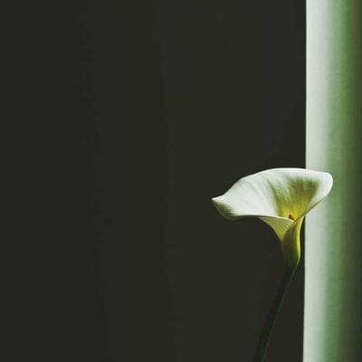 Ekonomik Giyim, Ayakkabı Ürünü 9