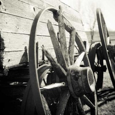 Sertifikalı Giyim, Ayakkabı Ürünü 4