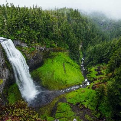 Organik Giyim, Ayakkabı Ürünü 6