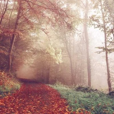 Özel Üretim Giyim, Ayakkabı Ürünü 7