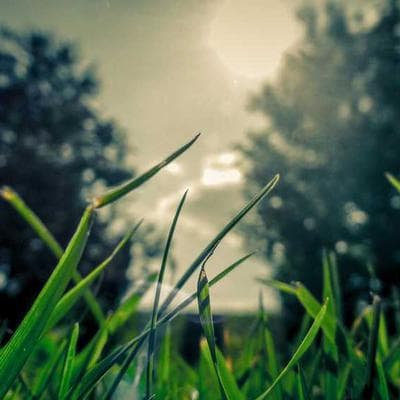 Ekonomik Giyim, Ayakkabı Ürünü 15