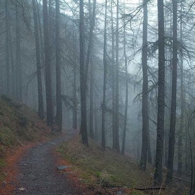 Lüks Giyim, Ayakkabı Ürünü 9