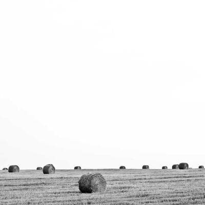 Organik Giyim, Ayakkabı Ürünü 12