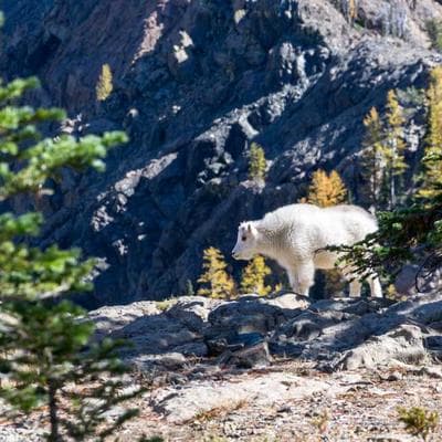 Kaliteli Giyim, Ayakkabı Ürünü 14