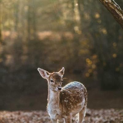 Yeni Sezon Kozmetik, Kişisel Bakım Ürünü 2