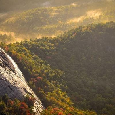 İthal Kozmetik, Kişisel Bakım Ürünü 4