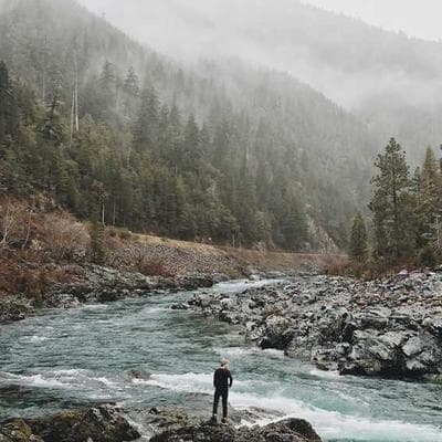 Sertifikalı Kozmetik, Kişisel Bakım Ürünü 5
