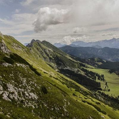 Sertifikalı Kozmetik, Kişisel Bakım Ürünü 12
