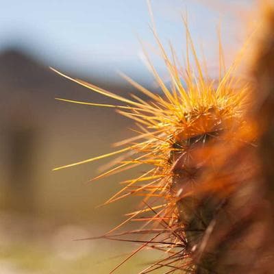 Doğal Kozmetik, Kişisel Bakım Ürünü 6