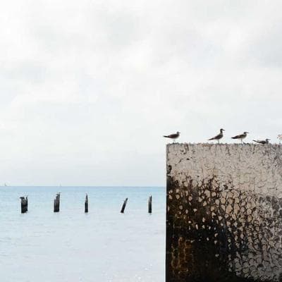 Kaliteli Kozmetik, Kişisel Bakım Ürünü 15