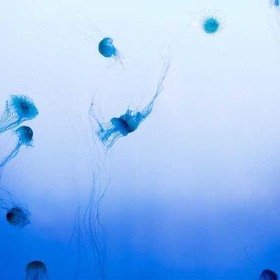 Yerli Kozmetik, Kişisel Bakım Ürünü 2