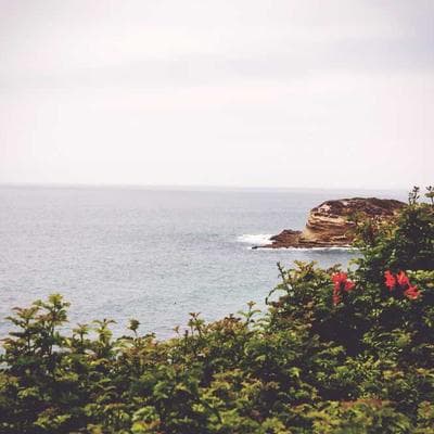 Yeni Sezon Kozmetik, Kişisel Bakım Ürünü 17