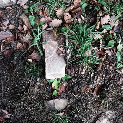 Kaliteli Kozmetik, Kişisel Bakım Ürünü 16