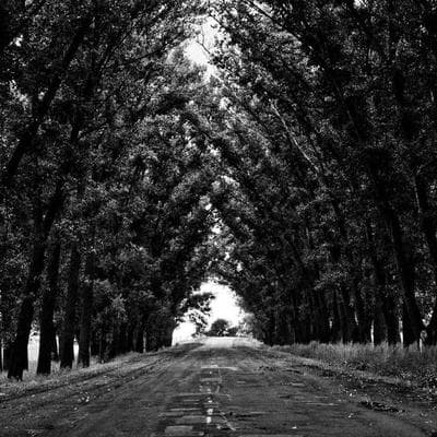 Ekonomik Kozmetik, Kişisel Bakım Ürünü 14