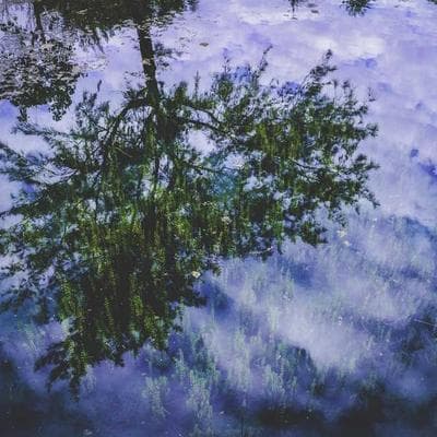 Doğal Kozmetik, Kişisel Bakım Ürünü 19