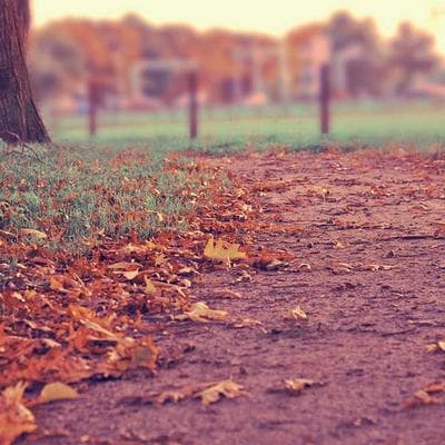 Özel Üretim Kozmetik, Kişisel Bakım Ürünü 10