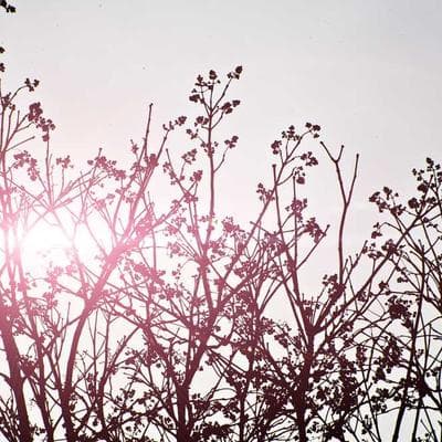 Sertifikalı Kozmetik, Kişisel Bakım Ürünü 15