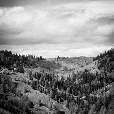 Yerli Kozmetik, Kişisel Bakım Ürünü 19