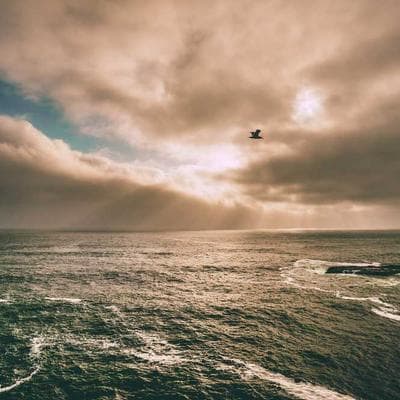 Yerli Kozmetik, Kişisel Bakım Ürünü 8