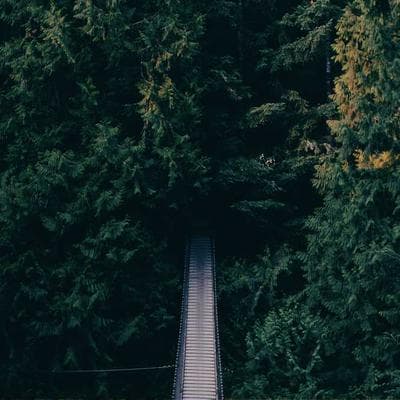 Organik Kozmetik, Kişisel Bakım Ürünü 2