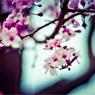 Yerli Kozmetik, Kişisel Bakım Ürünü 3