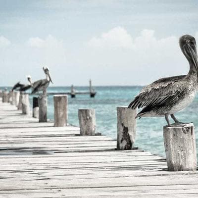 Lüks Kozmetik, Kişisel Bakım Ürünü 5