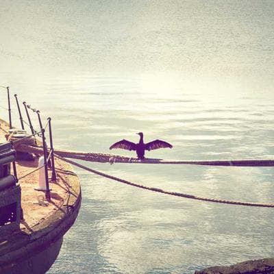 Sertifikalı Kozmetik, Kişisel Bakım Ürünü 15