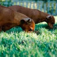Kozmetik, Kişisel Bakım Firması 9