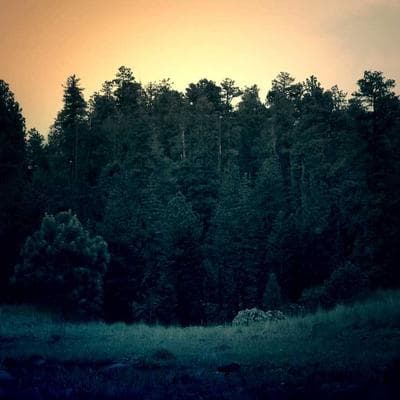 Sertifikalı Kozmetik, Kişisel Bakım Ürünü 11