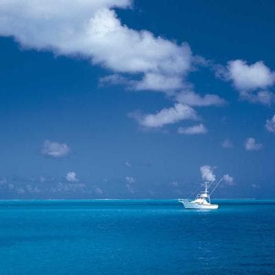 Ekonomik Mobilya, Ahşap Ürünü 15