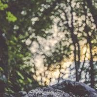 Mobilya, Ahşap Firması 14