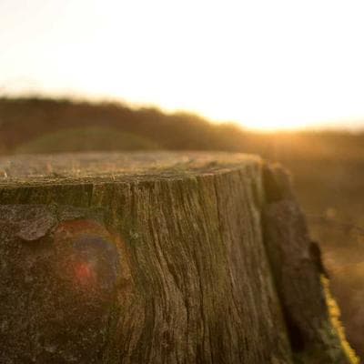 İthal Mobilya, Ahşap Ürünü 16