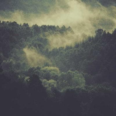 Doğal Mobilya, Ahşap Ürünü 7