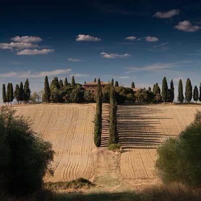 Doğal Mobilya, Ahşap Ürünü 16